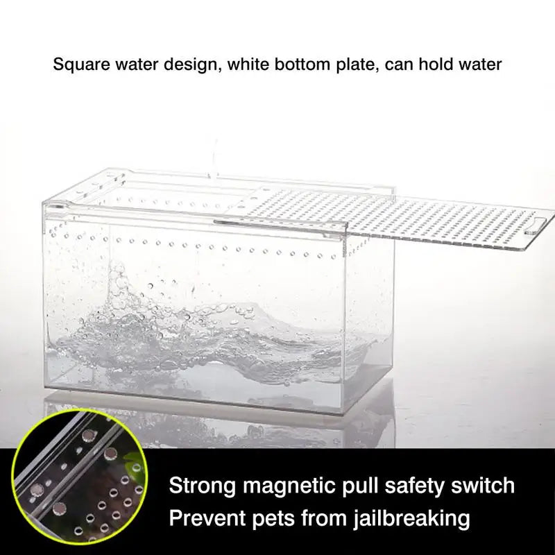 Transparent Acrylic Box Terrarium For Reptile And Amphibian Cricket Turtle Spider Snail Glass Shelter Terarium Terraria