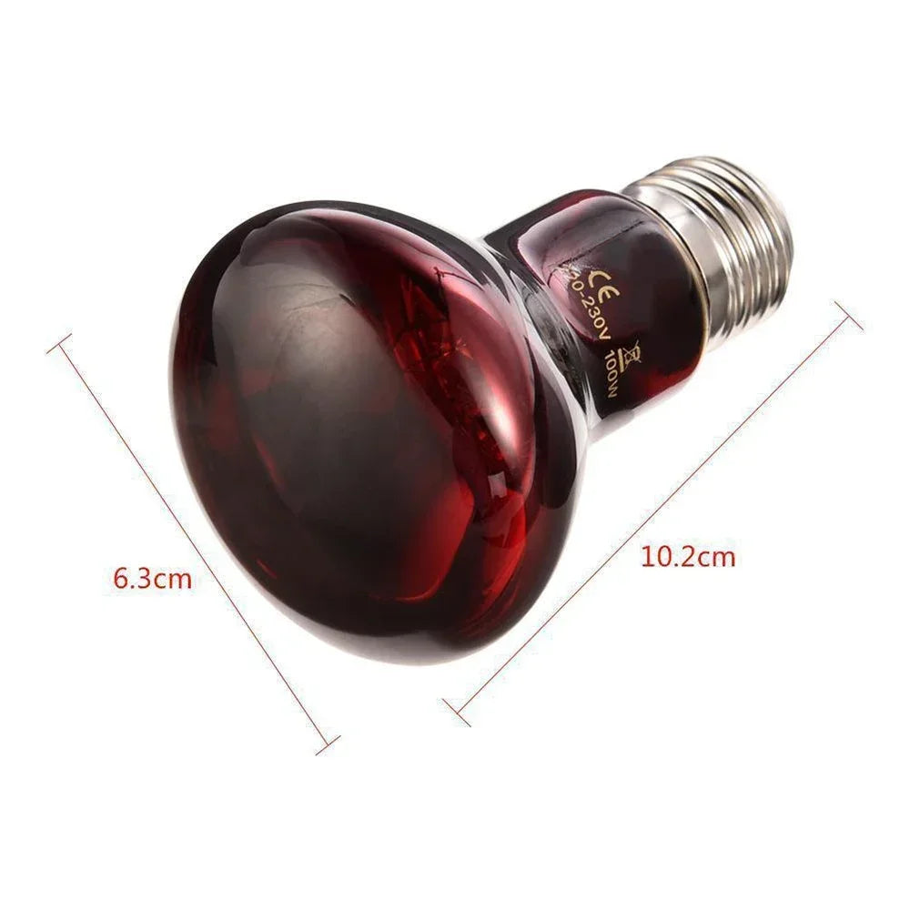 220V UVA Amphibious Red Heating Lamp 25W 50W 100W Infrared Glass Bulb Accessories for Reptiles Snake Lizards - Love Your Pet Life