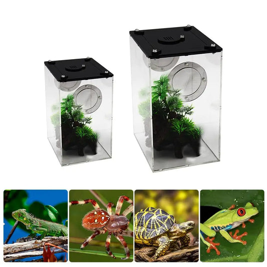 New Acrylic Terrarium Spider Breeding Box Reptile Feeding Box For Climbing Pet Terrarium Snake Spider Lizard Scorpion Centipede - Love Your Pet Life