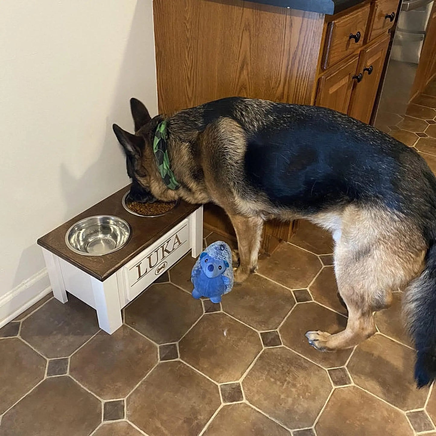 Raised Dog Bowl Stand with Internal Storage Elevated Dog Bowls with Double Stainless Steel Dish Separate Design