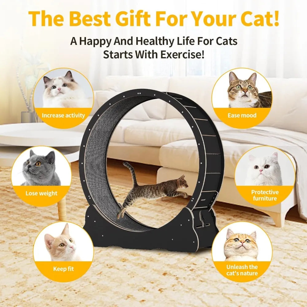 Accessories for Cats Cat Wheel Cat Exercise Wheel for Indoor Cat Pulsive and Training Toys Supplies Pet Products Home Garden