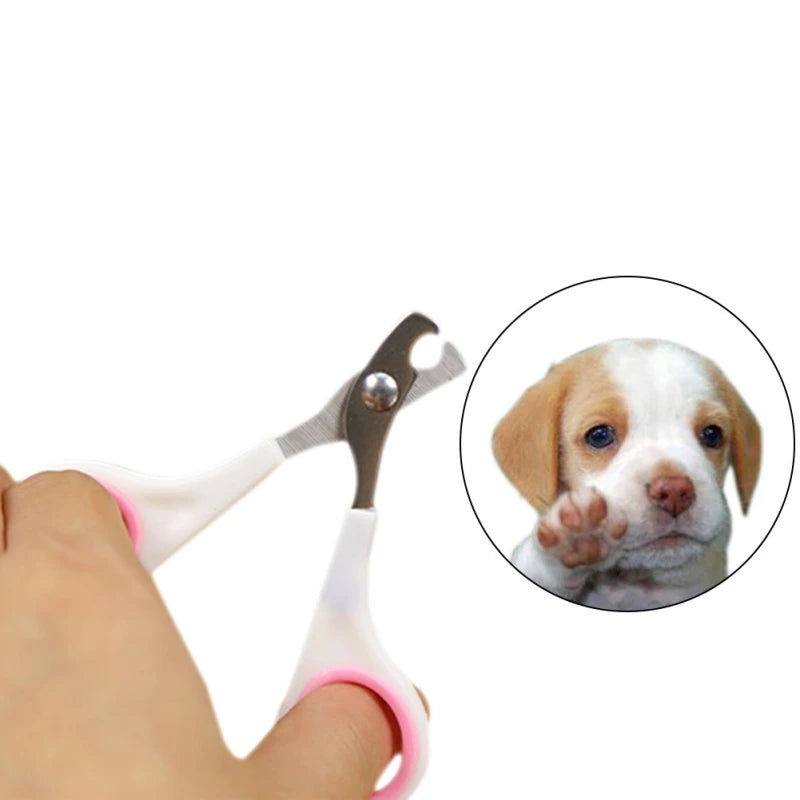 1PC Pet Nail Scissors Dog Cat Nail Claw Grooming Scissors Pet Nails Clipper Trimmer For Dog Cat Rabbit Bird Pet Supplies