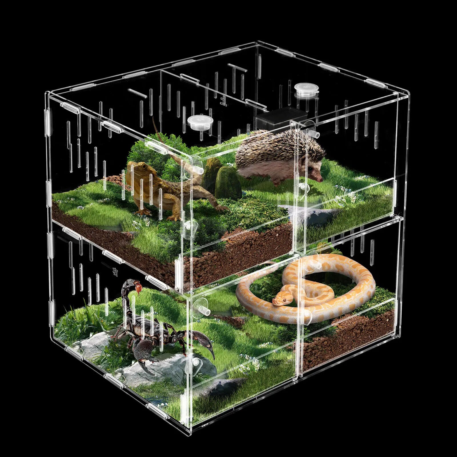 4 Grids Acrylic Pet Reptile Cage Breeding Box Terrarium Lizard Insect Climbing Spider Snake Tank Clear - Love Your Pet Life