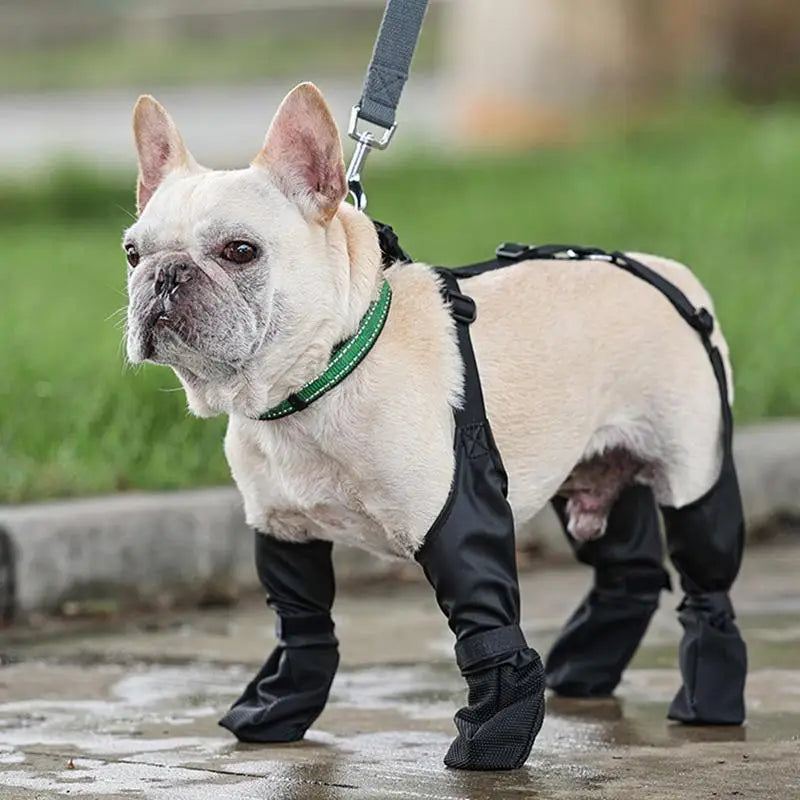 Dog Shoes Waterproof Adjustable Dog Boots Rain Day Walk in Snow Anti Dirty Puppy Paw Protectors Anti-Slip Shoes Outdoor Walking