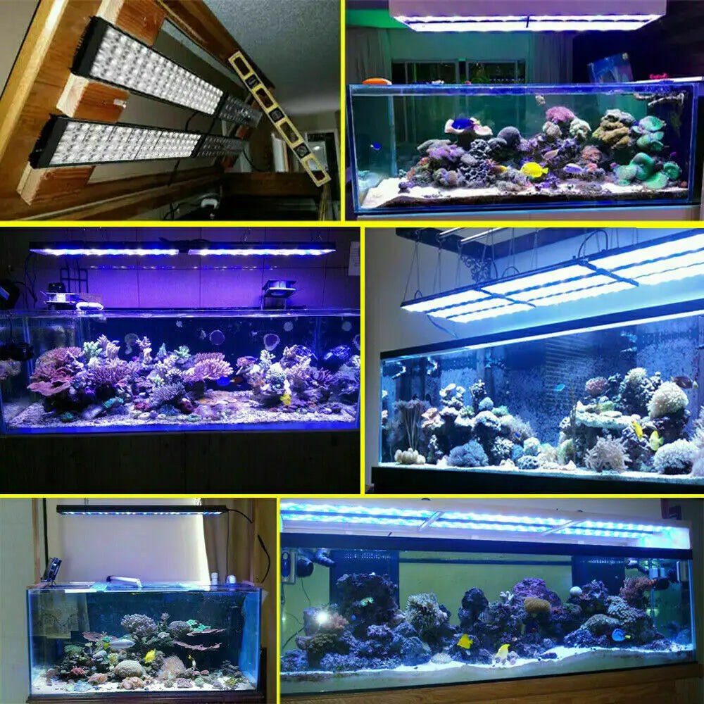 PopBloom-Marine Aquarium Full Spectrum LED Lamp,Saltwater Aquarium Light,Reef Grow Fish Tank Lamp,Reef Coral,LPS,SPS,320-400cm - Love Your Pet Life