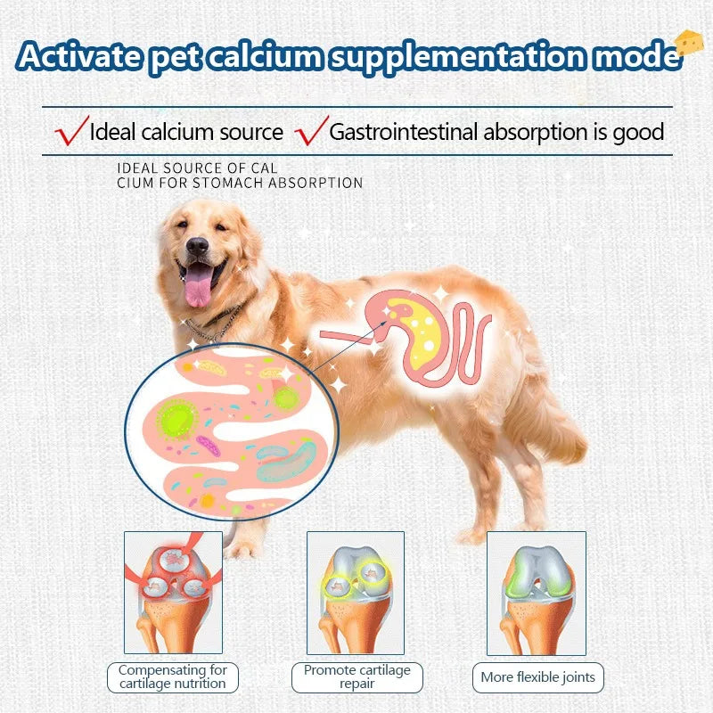 Pet Freeze-dried Food High Calcium Cheese Rich in Nutrients Cat Dog Snacks Aid Digestion Snacks Calcium Supplements Dairy tablet