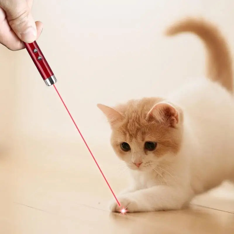 Laser Pointer For Cats Interactive Cat Laser Toy Pet Enrichment Toys For Indoor Cat To Play And Exercise