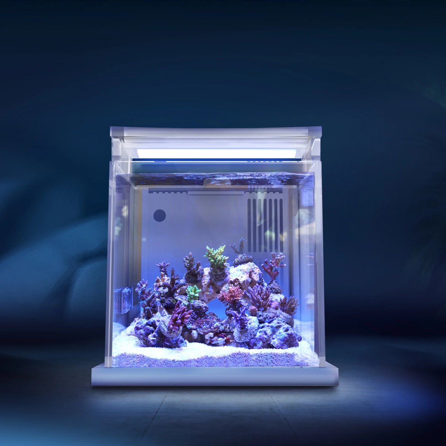 MagTool Premium All-in-One Desktop Mini Acrylic 0.95gal(3.6L) Reef Aquarium with Back Filter System and LED Light - Love Your Pet Life