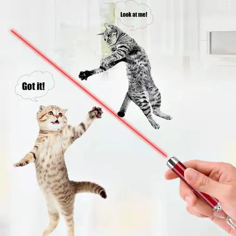 Laser Pointer For Cats Interactive Cat Laser Toy Pet Enrichment Toys For Indoor Cat To Play And Exercise