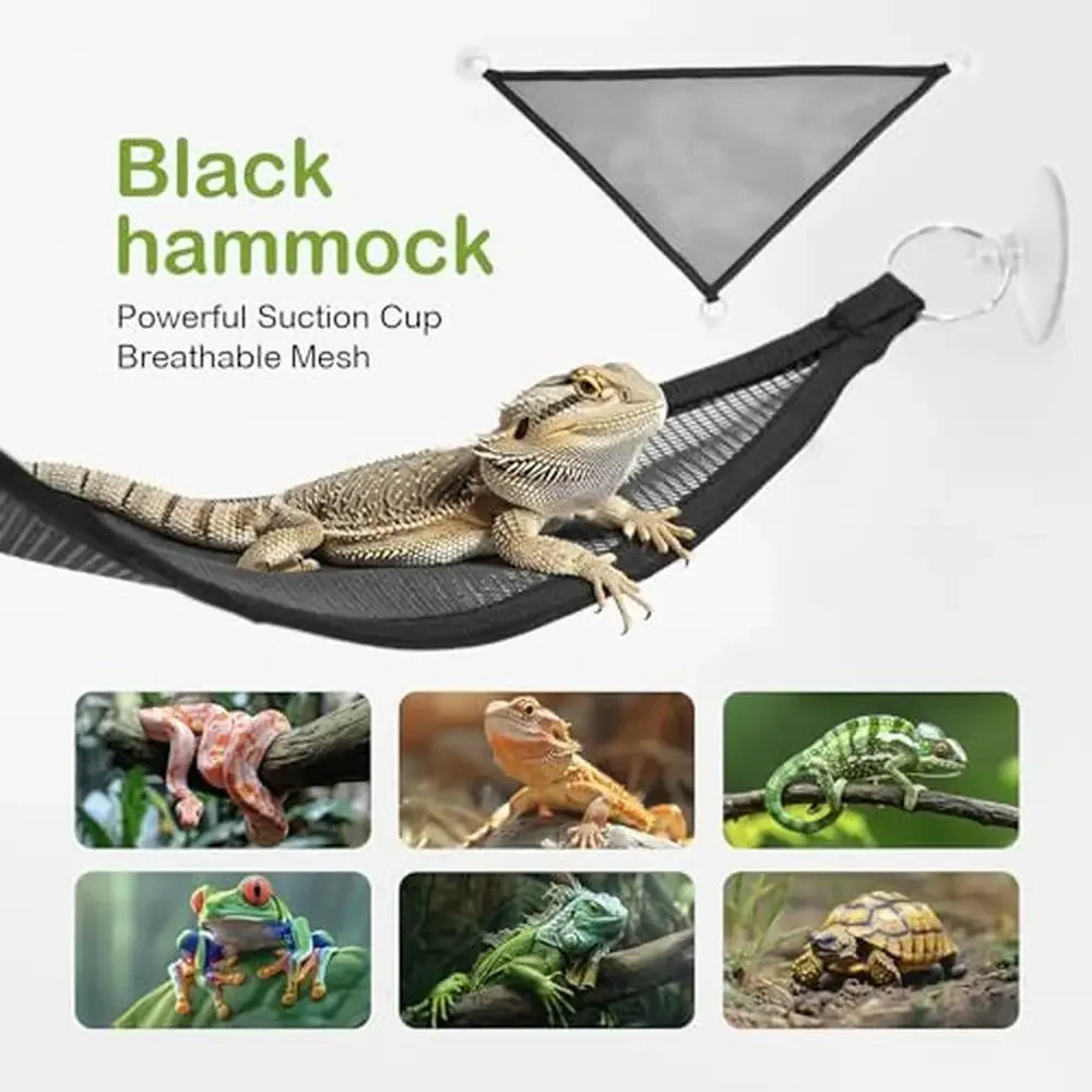 Reptile Terrarium Kit Habitat Cage Starter Set Lizards Turtles Snakes Unbreakable PC Material Complete Accessories Kit Easy