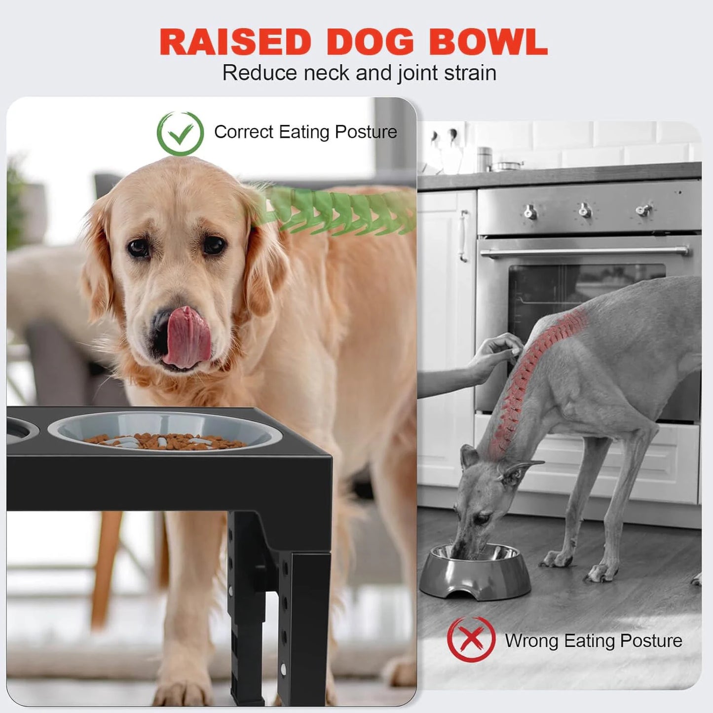 Elevated Slow Feeder Dog Bowl Holder with 5 Height Adjustments for Small, Medium and Large Dogs, Cats and Pets Water Bowls.