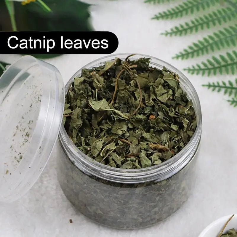 Natural Catnip Organic Premium Catmint Cat Toy Nepeta Cataria For Eliminating Cats Hairballs Absorbing Foods Vitamin Supplement