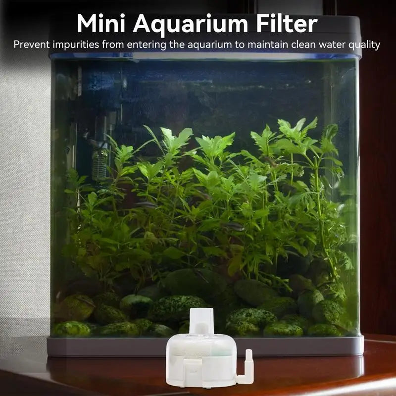 Small Fish Tank Sponge Filter Submersible Mini Sponge Filter Aquarium Filters Promotes Oxygen Circulation Detachable Compact