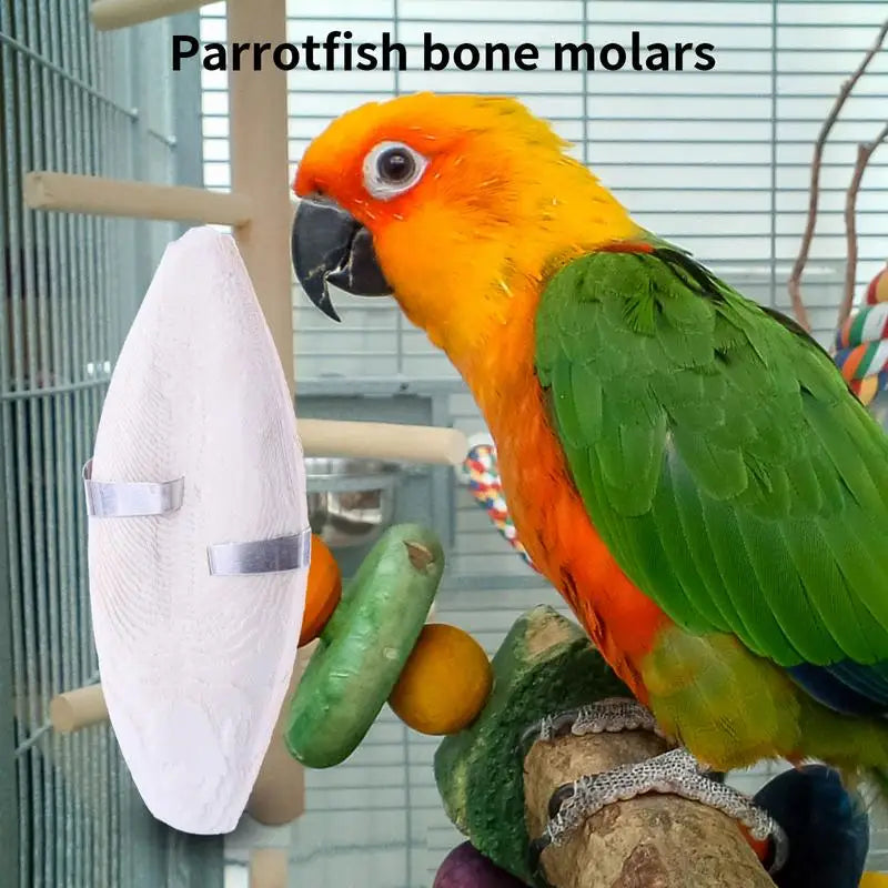 Bird Cuttle Bone Pet Grinding Cuttlefish Bone Natural Cuddle Bone Parrot Chew Toys Chewing Cuttlefish Bone Bird Cuttlebone For P