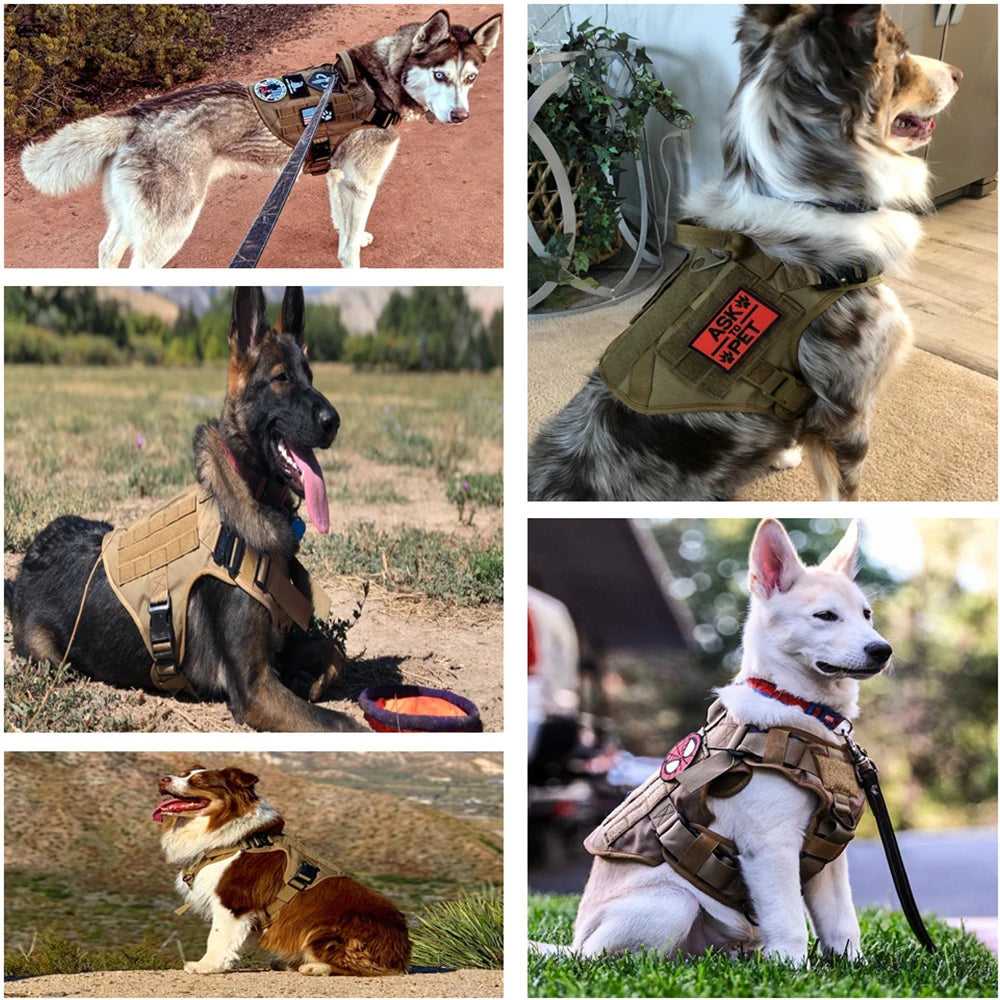 Military Large Dog Harness Pet German Shepherd K9 Malinois Training Vest Tactical Dog Harness And Leash Set For Dogs Accessories - Love Your Pet Life