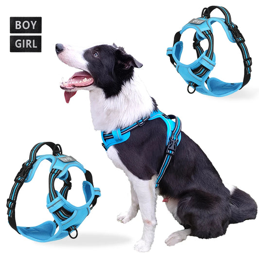 Dog Harness, Pet Harness with Pull 1 Leash Clip, Adjustable Padded Dog Vest, Reflective Non-Choking Pet Vest with Free Nameplate - Love Your Pet Life