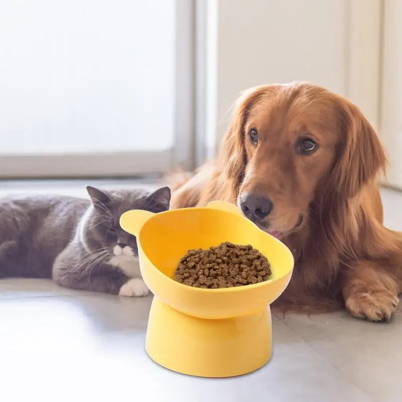 Dog Cat Bowls Elevated Tilted Cat Food Bowls Anti Vomiting Raised Cat Bowls Kitten Dish For Pet Food And Water Feeding