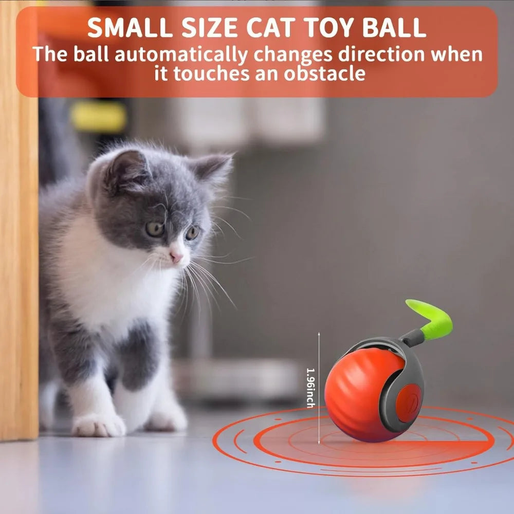 Interactive Cat Ball Toy with Feather, Smart Cat Toys Ball for Indoor Cats, Motion Activated Automatic Cat Toy Ball