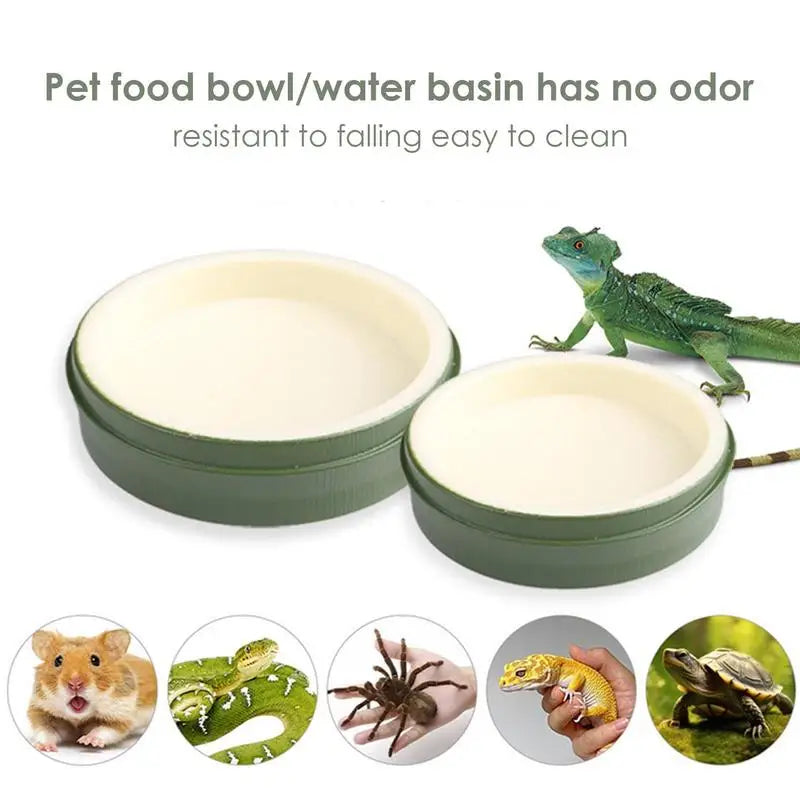 Reptile Water Dish Food Bowls Food Feeder Dish Plate For Drinking Reptile Food Water Bowl Plate Dish For Tortoise Hermit Crab