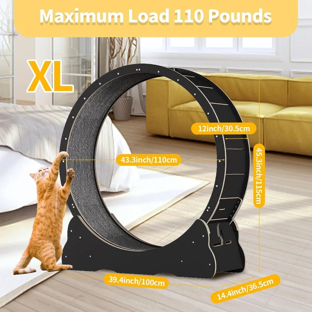 Accessories for Cats Cat Wheel Cat Exercise Wheel for Indoor Cat Pulsive and Training Toys Supplies Pet Products Home Garden