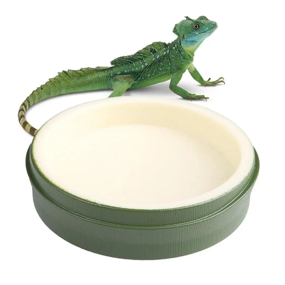 Reptile Water Dish Food Bowls Food Feeder Dish Plate For Drinking Reptile Food Water Bowl Plate Dish For Tortoise Hermit Crab