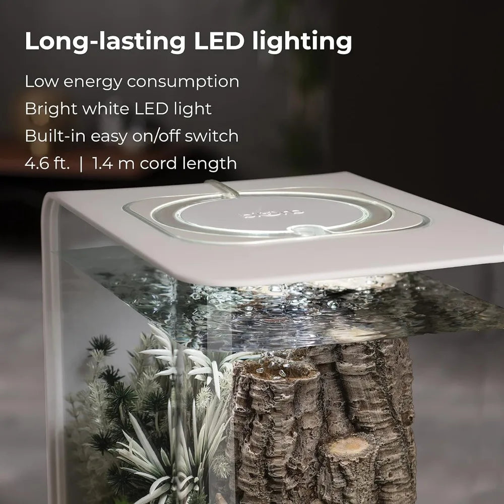 Acrylic Aquarium With White LED Light Modern Tank for Tabletop Display Fish Fishbowl Mini Aquatic Pet Supplies Products Home - Love Your Pet Life